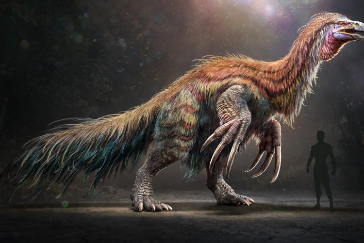TLC Update Therizinosaurus by Wildcard